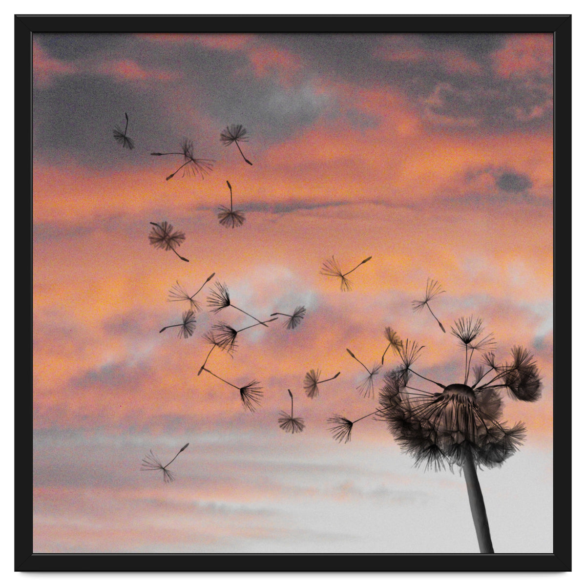 And The Days Went By