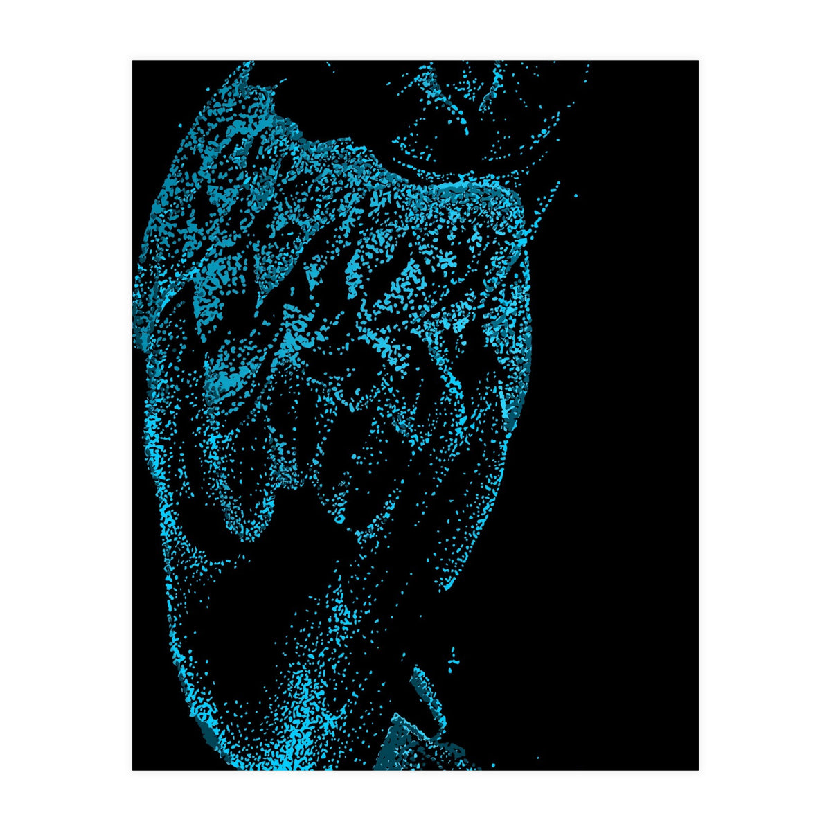 Teal Barn Owl (Print Only)
