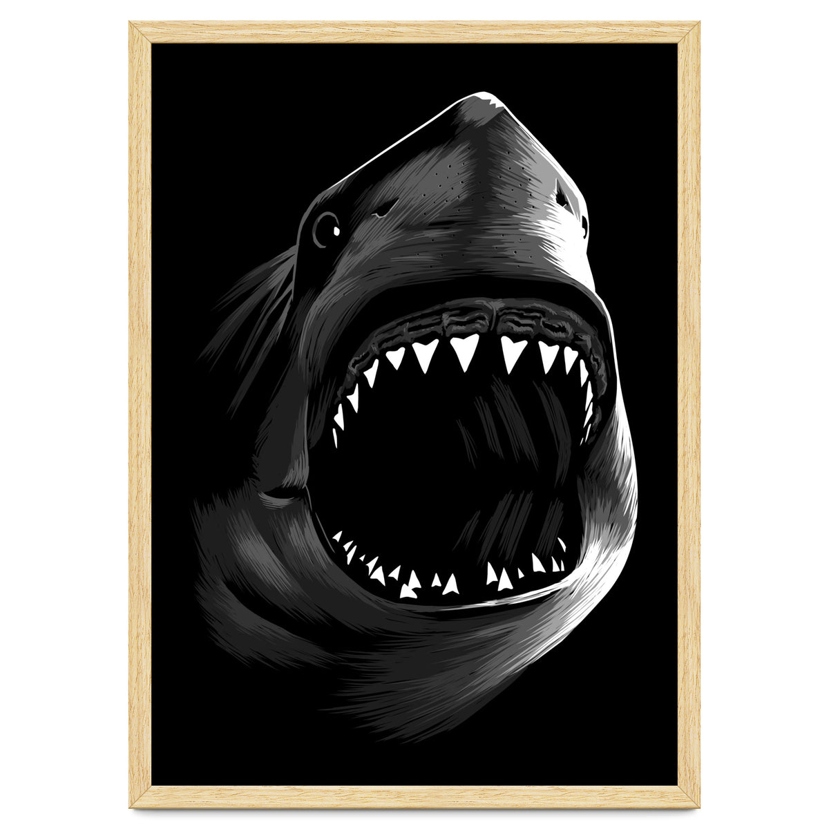 Megalodon
