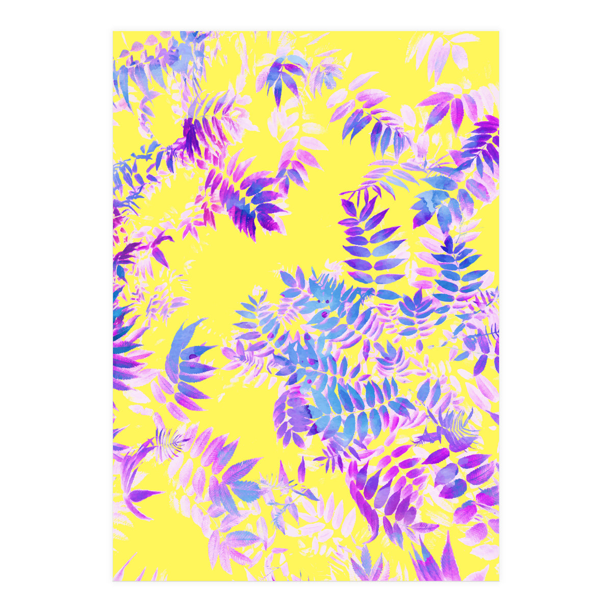 Vibrance (Print Only)