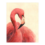 Flamingo (Print Only) thumbnail