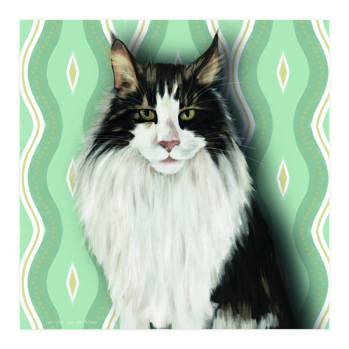 Cat 7: Django (Print Only)