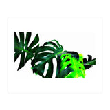 Fresh Leaves (Print Only) thumbnail