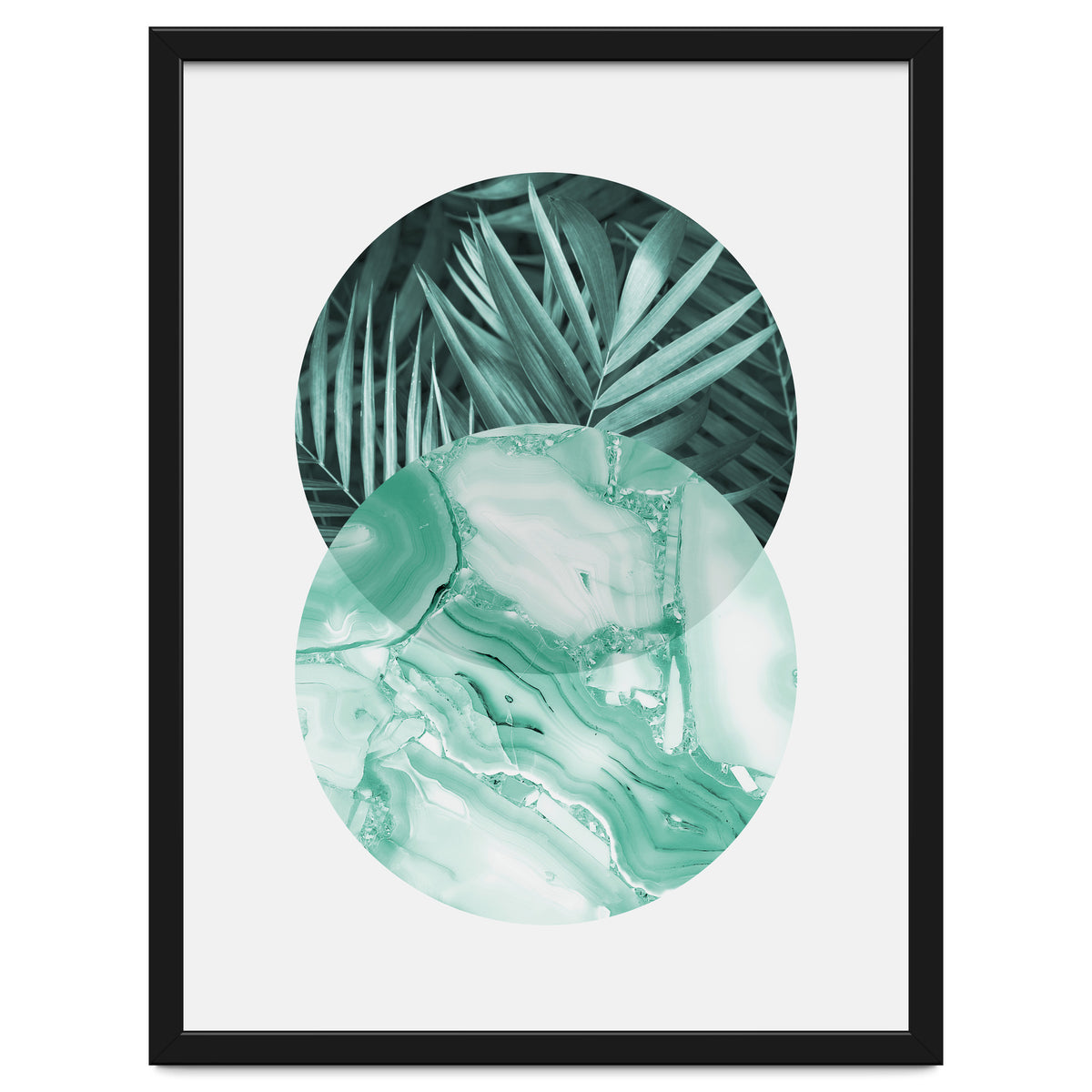 Botanical and geometric IV