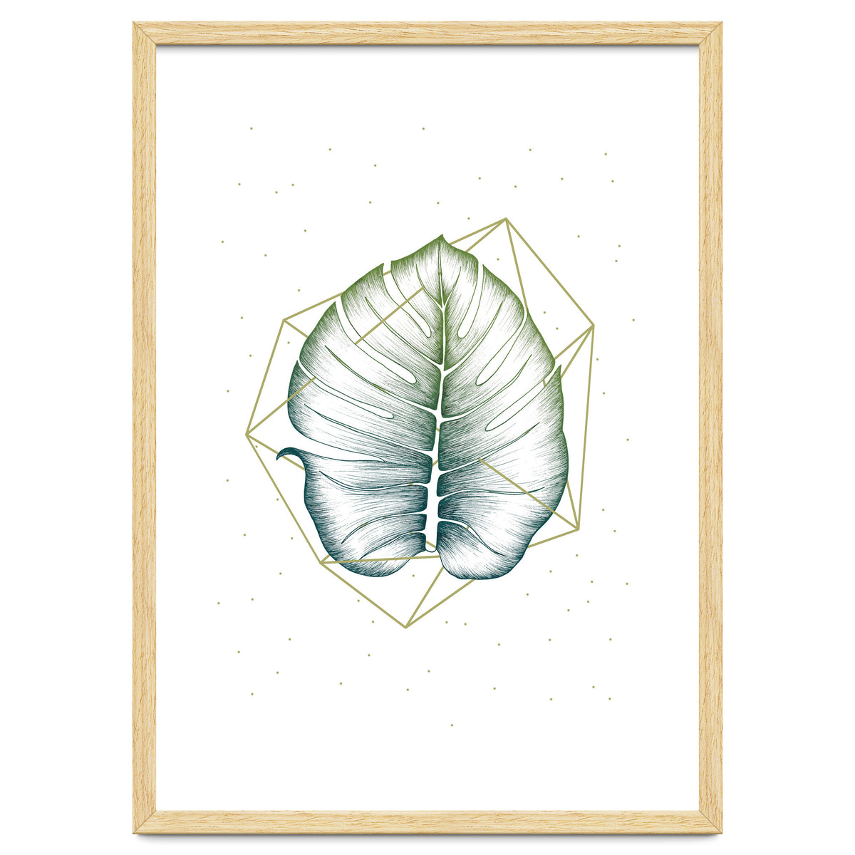 Geometry And Nature II