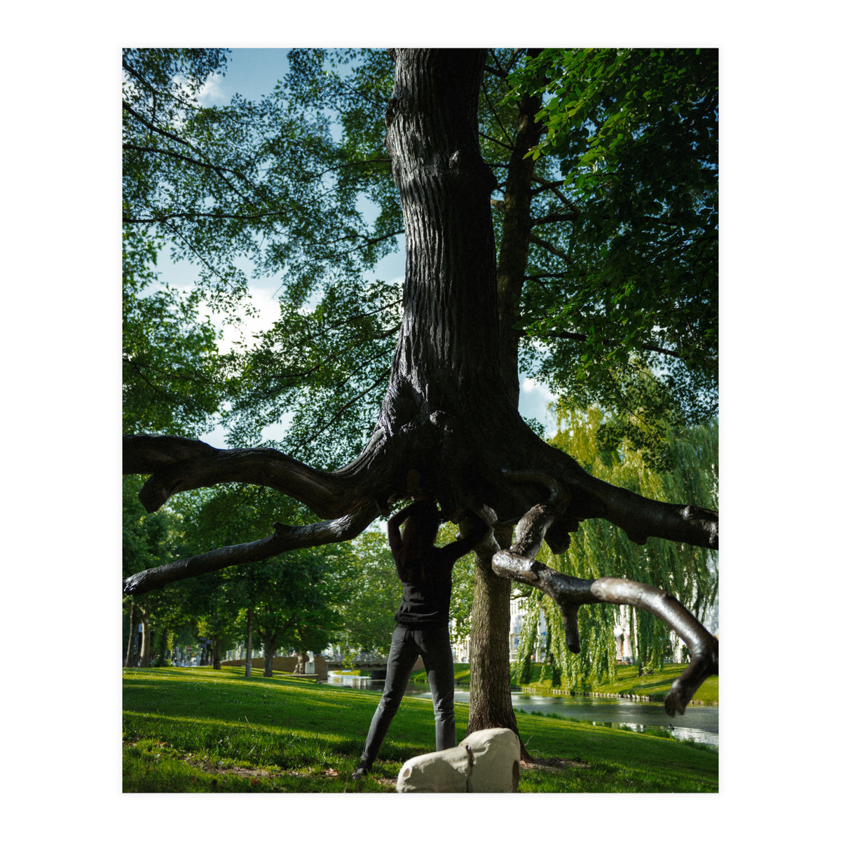 The Devil's Tree (Print Only)