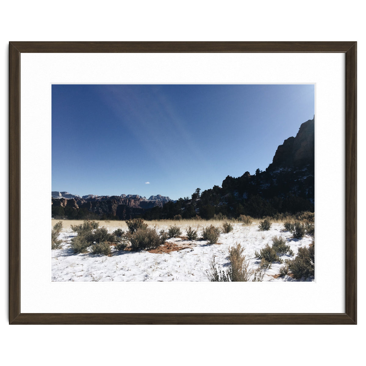 Zion National Park II