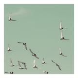 Mint Skies (Print Only) thumbnail