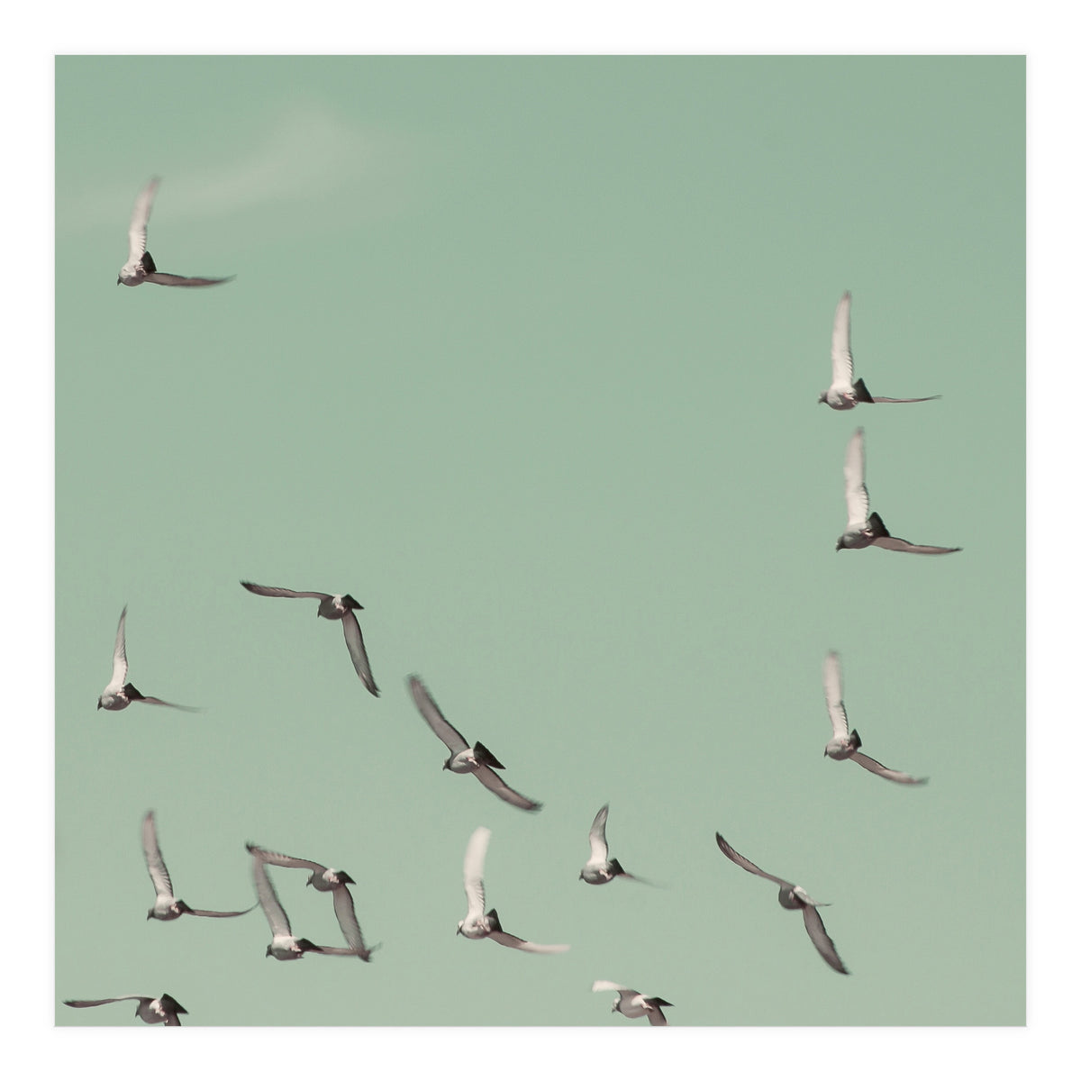 Mint Skies (Print Only)