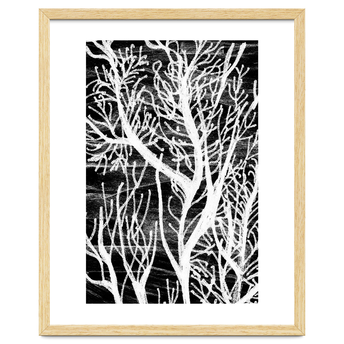 Desert Colours Collection 5