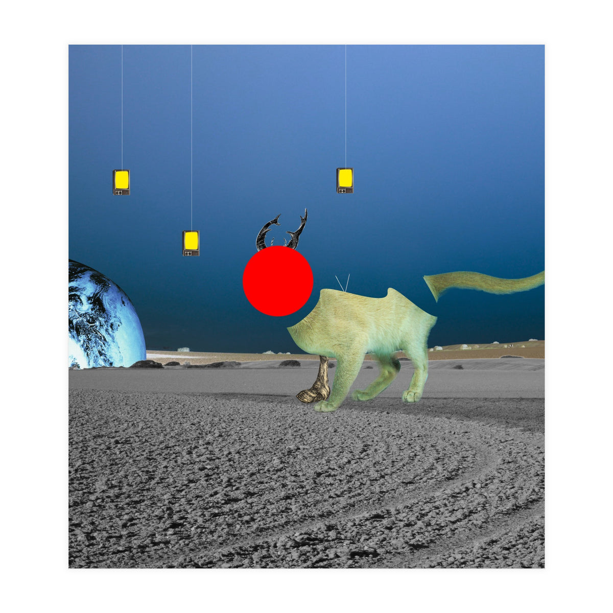 Le Cat? (Print Only)