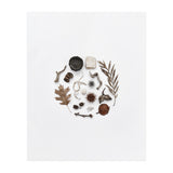 Treasures From Nature No. 2 (Print Only) thumbnail