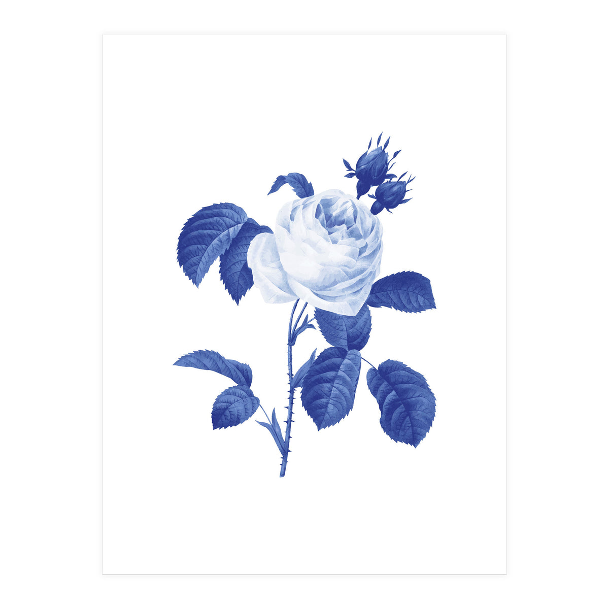 Blue Botanic I (Print Only)