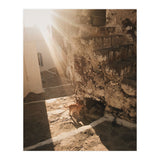 Milos VI (Print Only) thumbnail