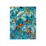 Winter Lush (Print Only) thumbnail
