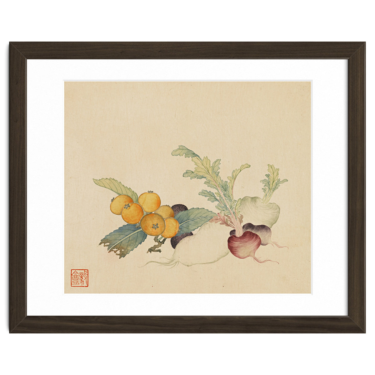 Wang Chengpi~flowers And Vegetables, Vegetables, Fruits, Loquat, White Radish, Carrot, Radish