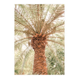 Tropical 2 (Print Only) thumbnail
