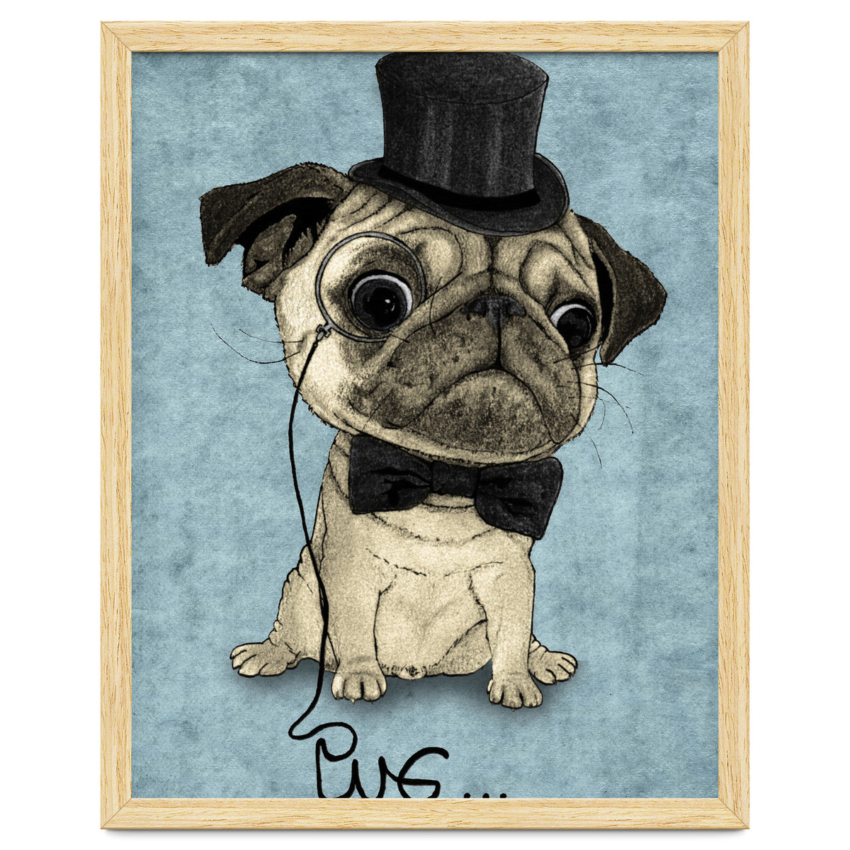 Pug, Gentle Pug
