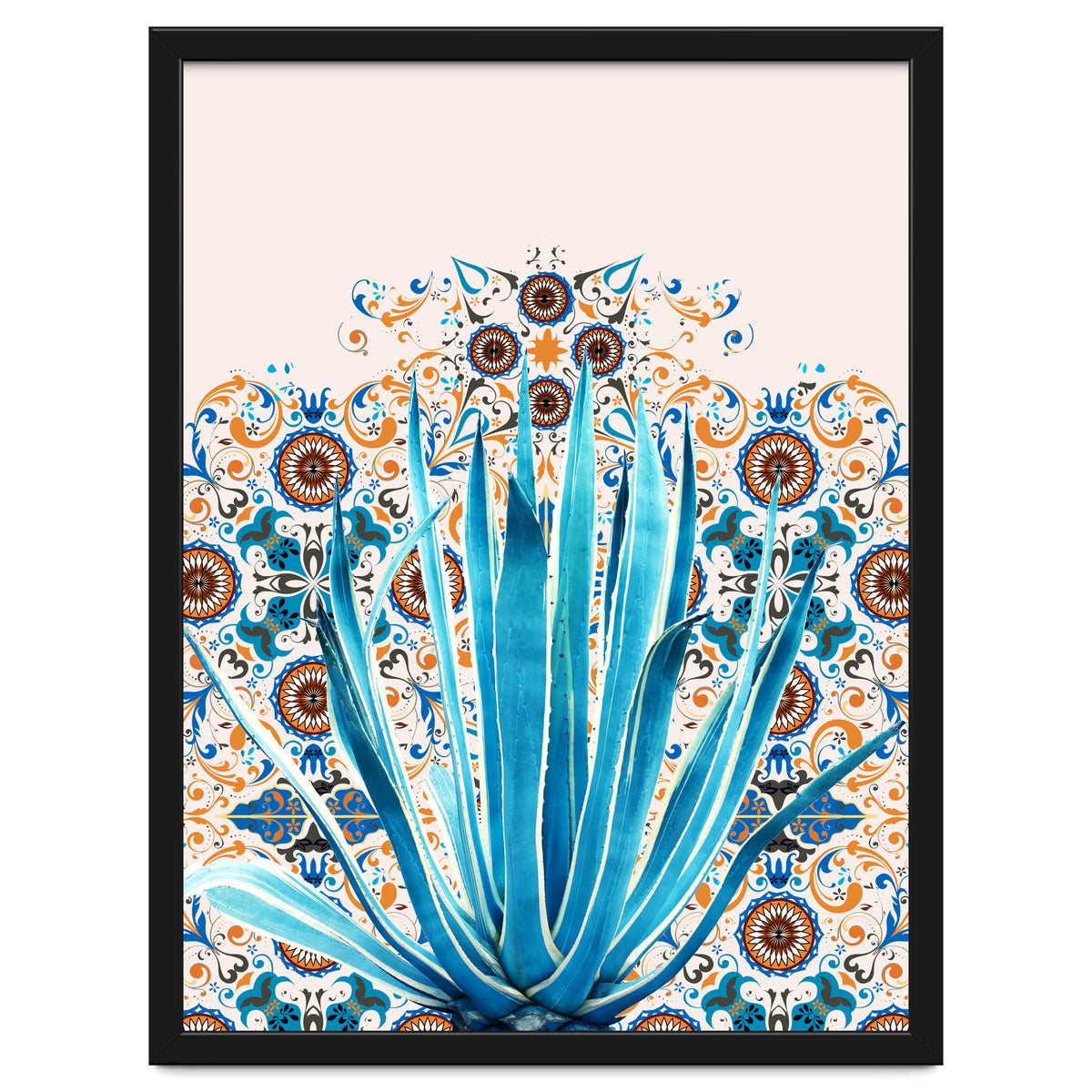 Cactus and Moroccan tiles