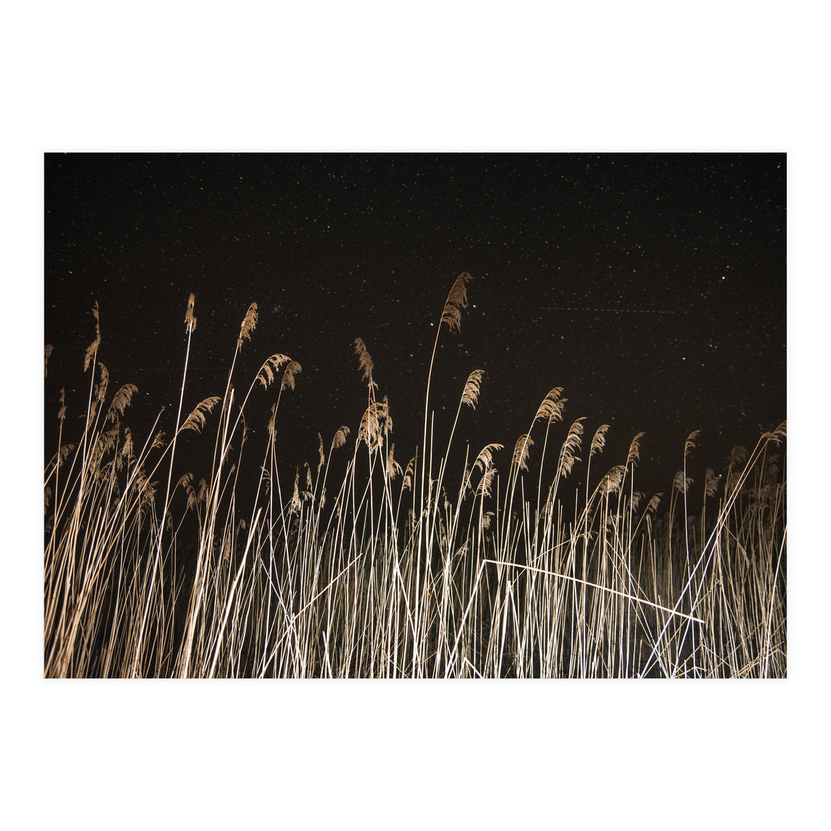 The Shining (Print Only)