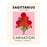 Sagittarius Birth Flower Carnation  (Print Only) thumbnail
