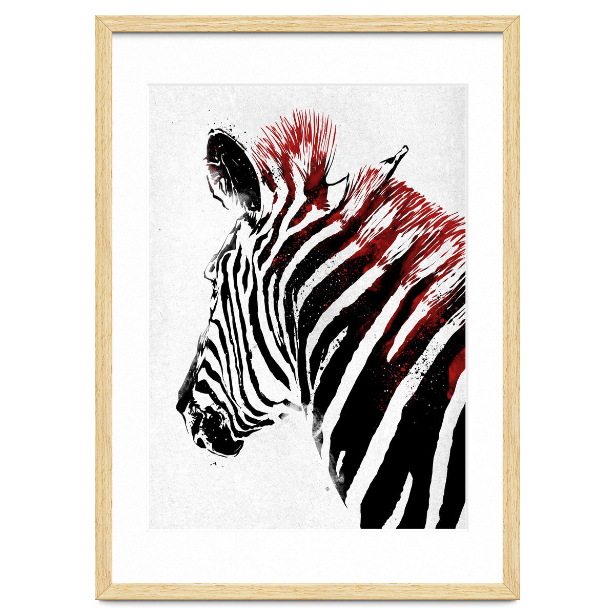Zebra