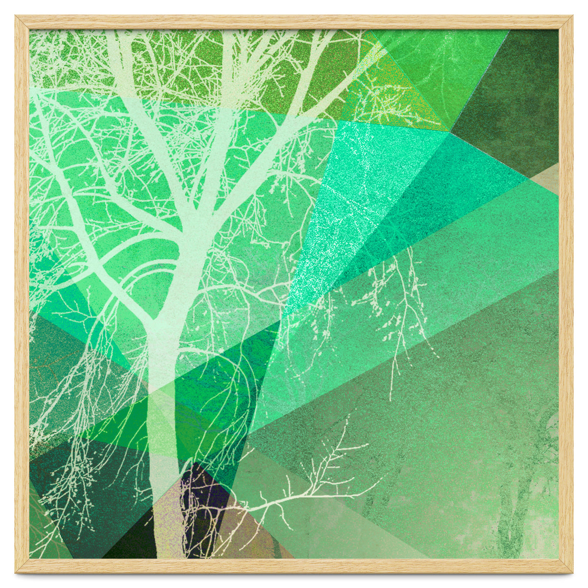 P22-B3 Trees And Triangles