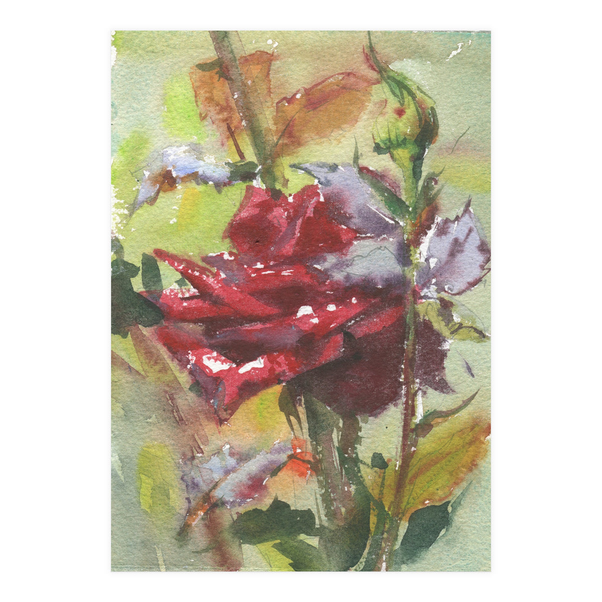 Spice Rose watercolor painting (Print Only)