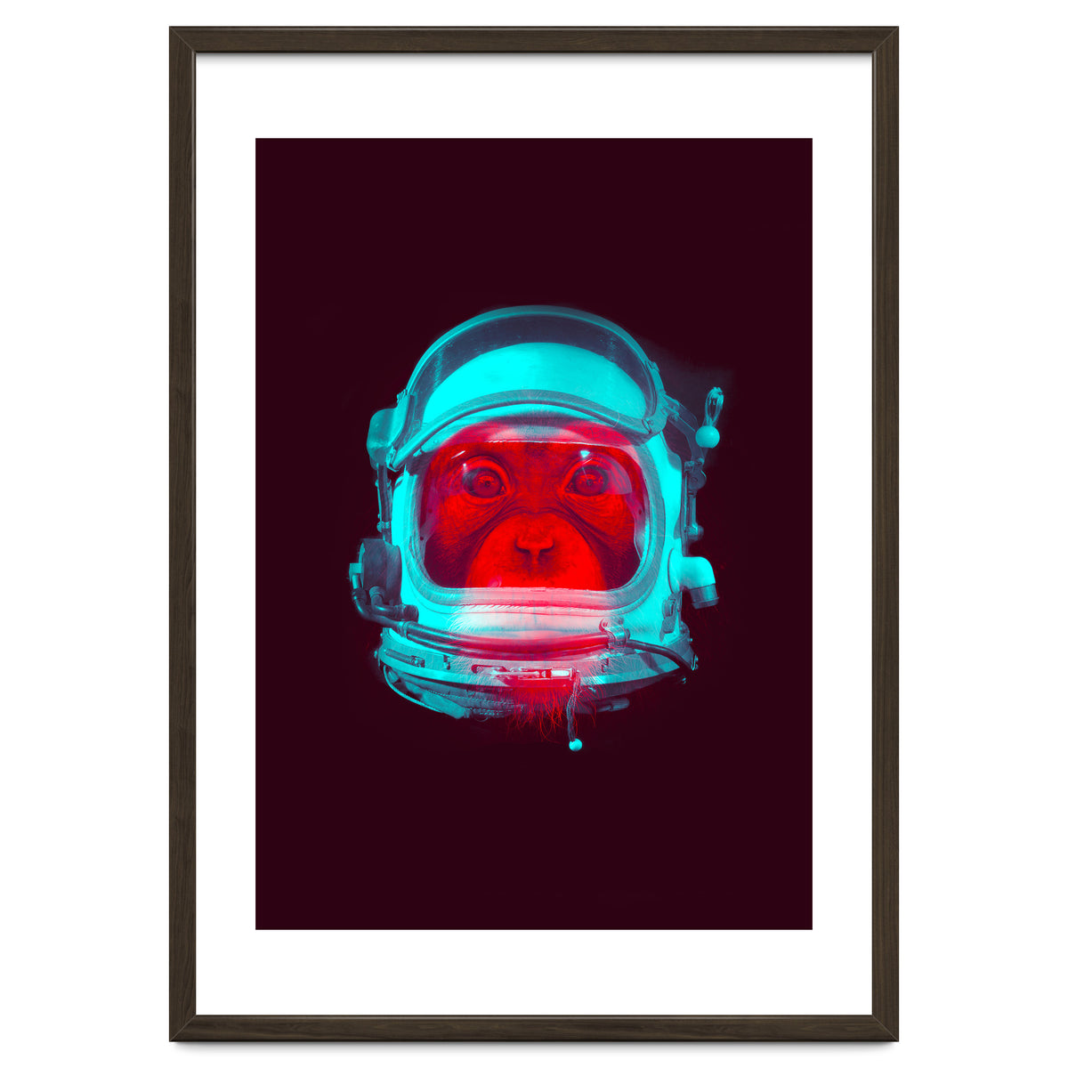 Astronaut