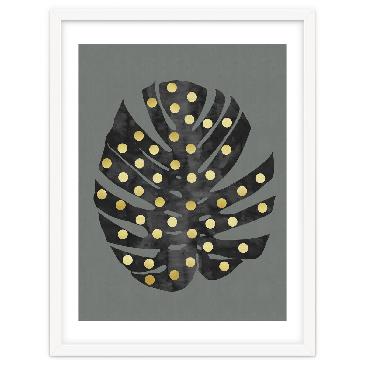 Monstera Deliciosa V