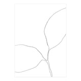 Seedling Leaning Left (Print Only) thumbnail