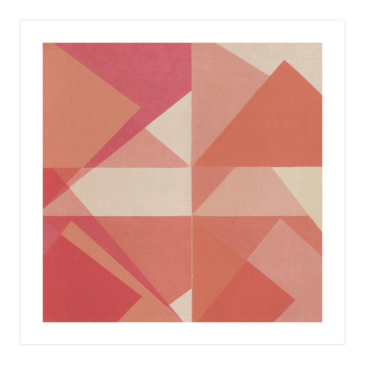 Contradictory Speech 3 (Print Only)