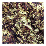 Surface Preparation (Print Only) thumbnail