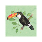 Toco toucan (Print Only) thumbnail