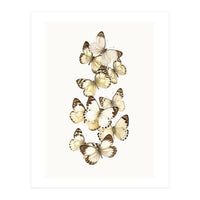 Cc Butterflies 01 (Print Only)
