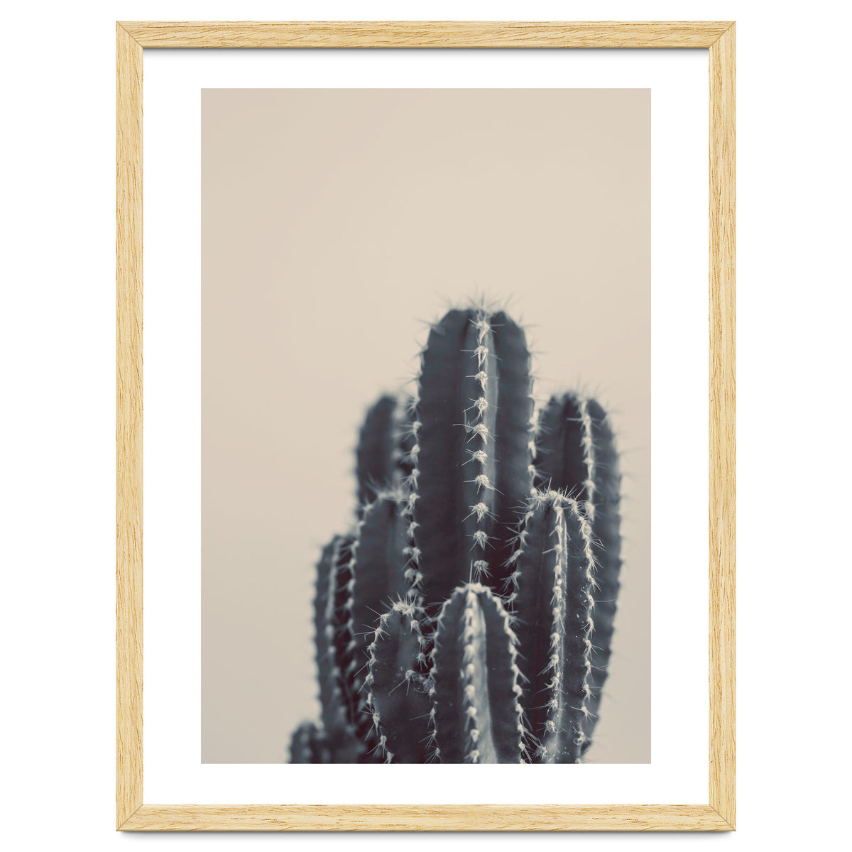 Vintage Cactus #1