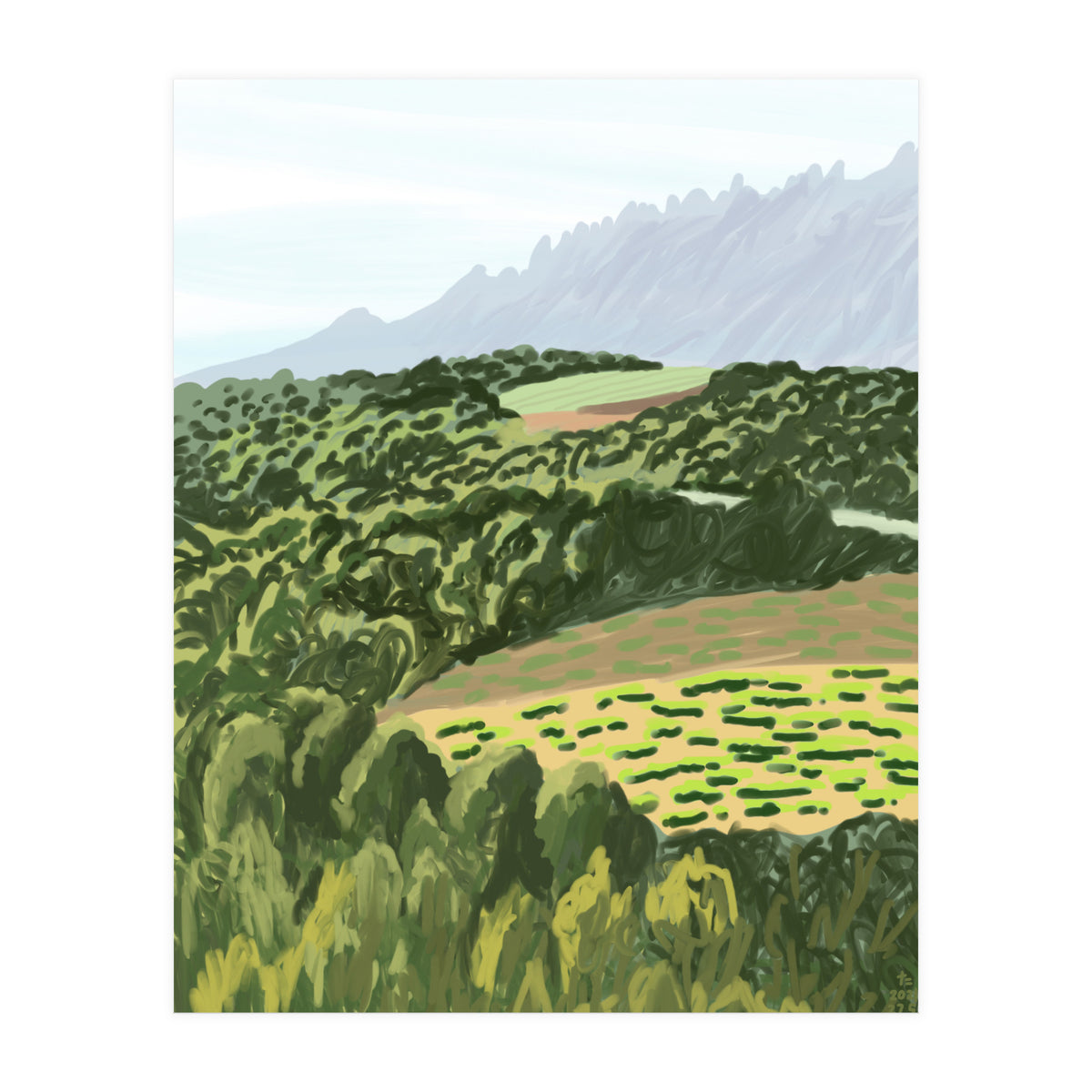 Morning Sunlight (Print Only)