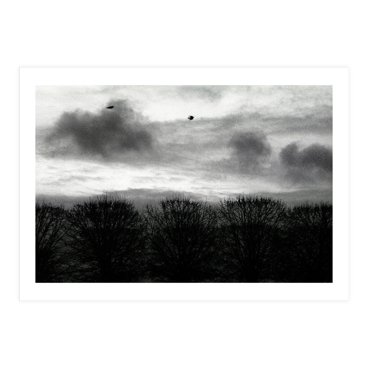 Winter mornig in Paris (Print Only)