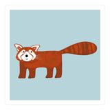 Red Panda (Print Only) thumbnail