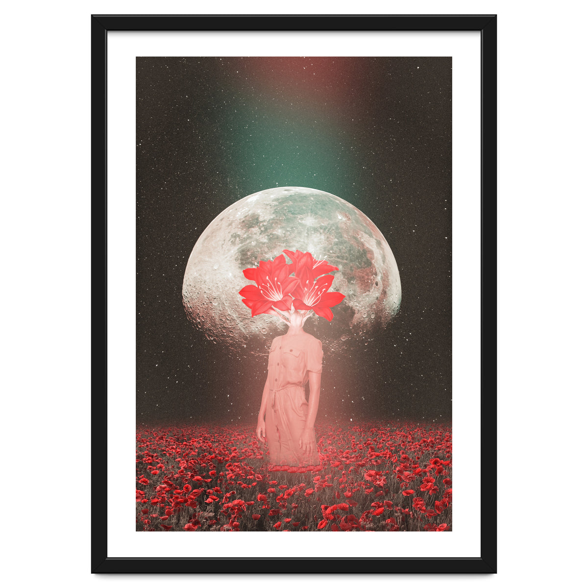 Flowers Bloom in Space