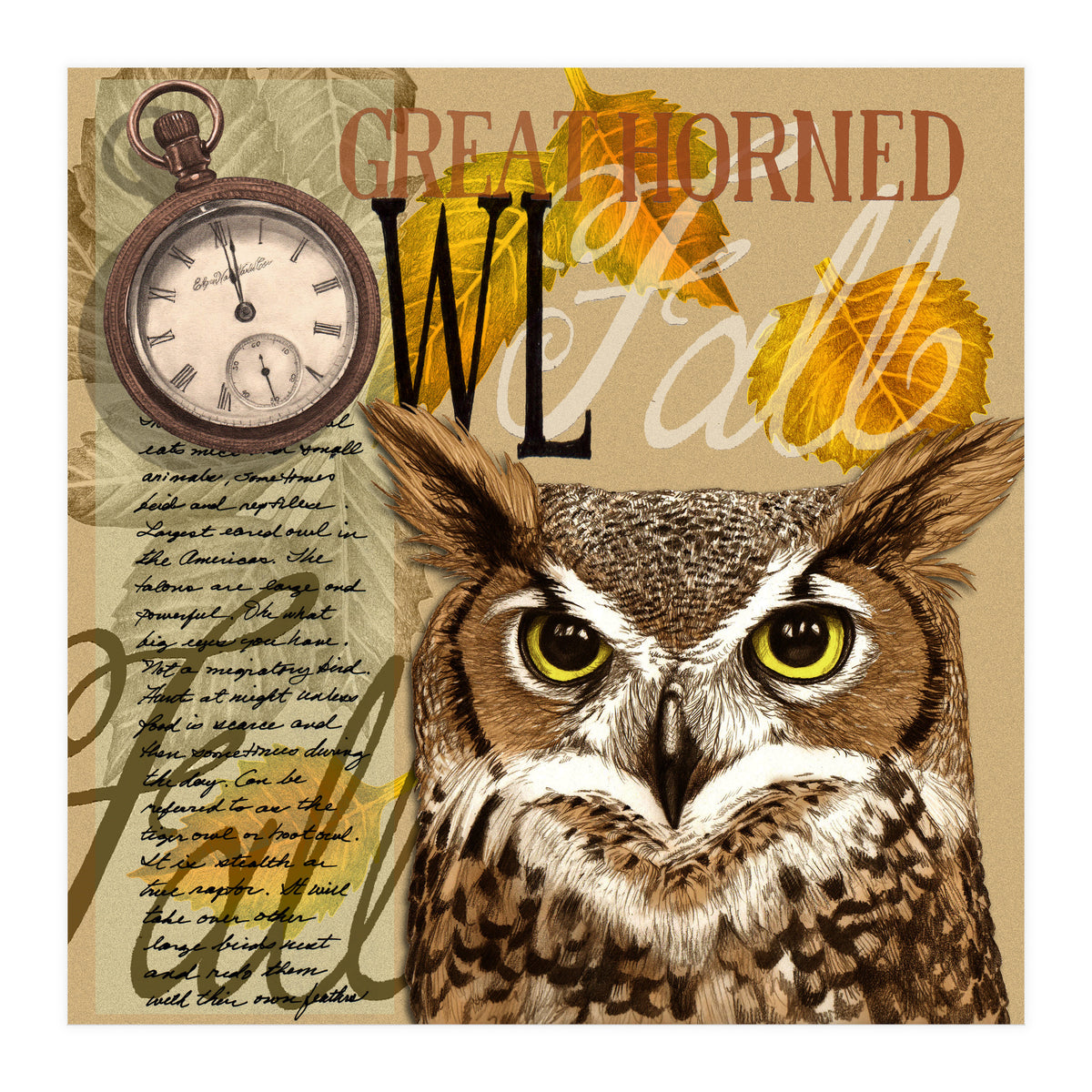 Great Horned Owl (Print Only)