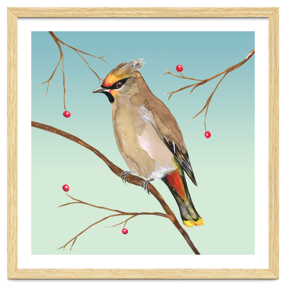 Bohemian waxwing