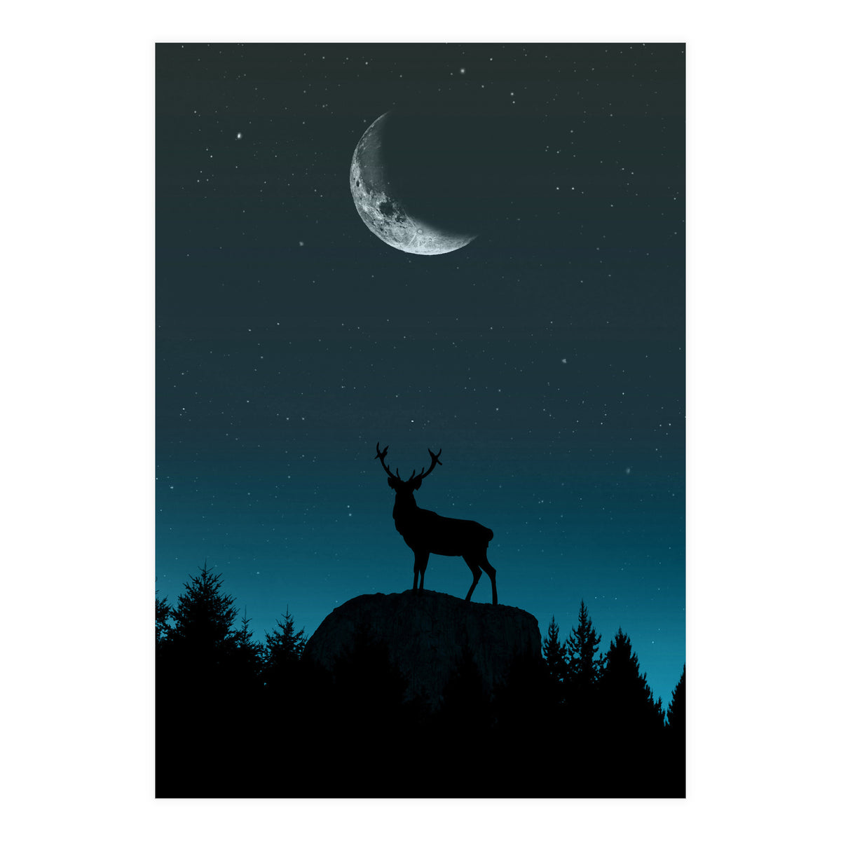 Wild Nature - Nocturne (Print Only)