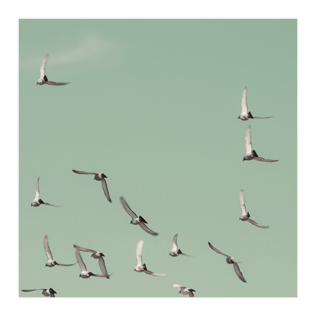 Mint Skies (Print Only)