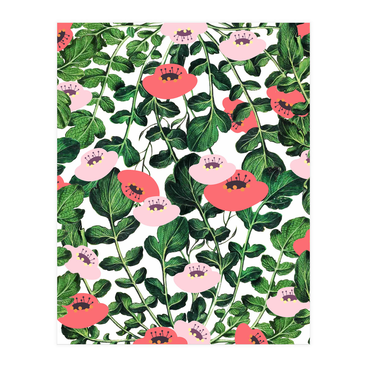 Parsnip & Poppies (Print Only)