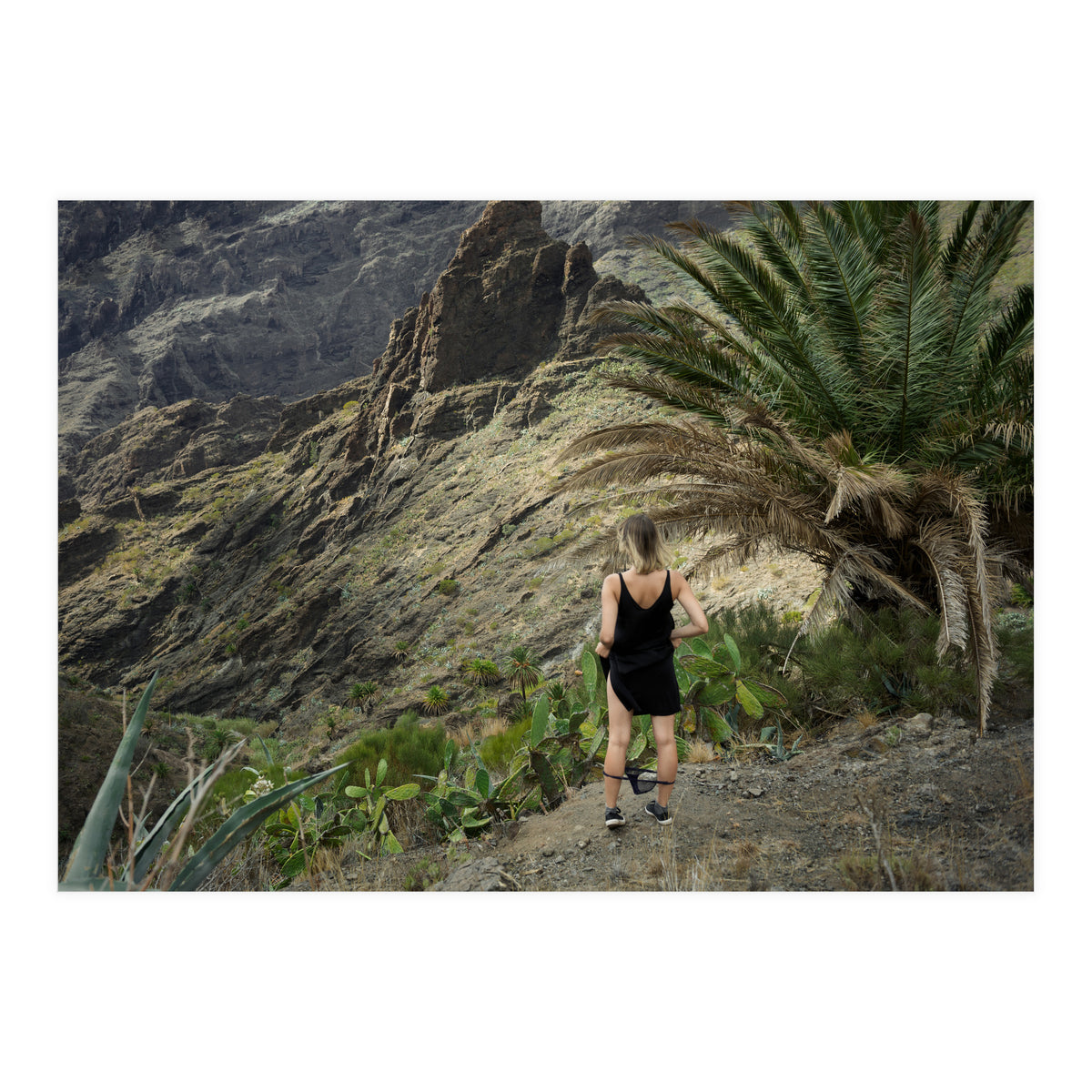 Pirates' Hideout (Print Only)