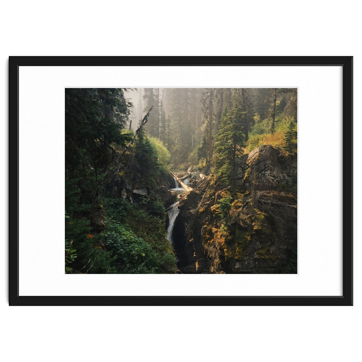 Glacier National Park I