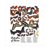 Maine Butterflies Chart (Print Only) thumbnail