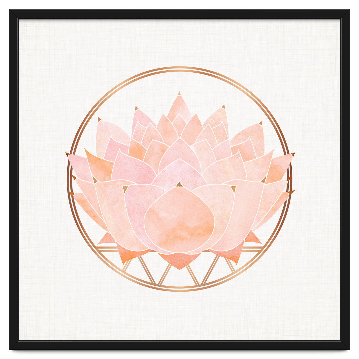 Peach Succulent  Blossom