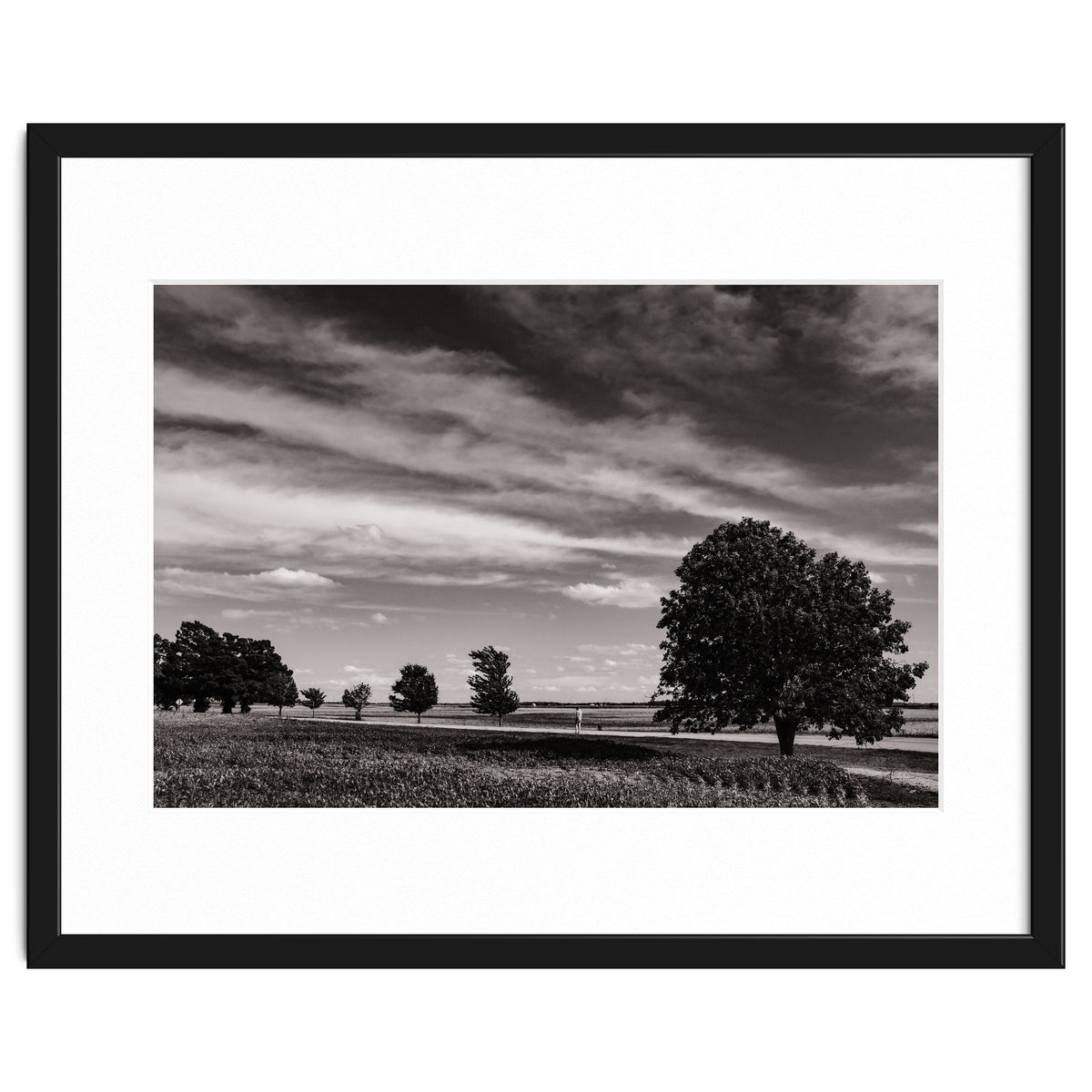 Country Road, Illinois